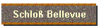 Schlo Bellevue